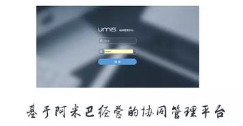 上海互聯網軟件集團 高端協同管理軟件與咨詢服務領軍者