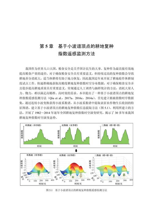 農作物時序遙感制圖技術 助力國家糧食安全戰略